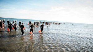 La Marsilvestre reuneix tres-cents nadadors en les aigües de València - (foto 5) La Marsilvestre reuneix tres-cents nadadors en les aigües de València - (foto 5)
