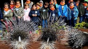 Hoy empieza Expedición África Navidad, la escuela de vacaciones de BIOPARC Valencia