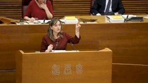 Cs exige explicaciones al Consell porque “su improvisación ha generado caos e incertidumbre en Metrovalencia”