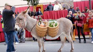 Más de un centenar de localidades valencianas celebran la fiesta del patrón de los animales, San Antonio Abad