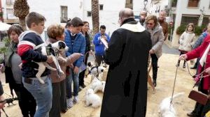 “Bendición de Animales” por Sant Antoni en La Nucía