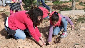 Godella celebrará el Día del Árbol con la plantación de 200 ejemplares de árboles y arbustos