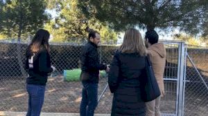 La zona protegida per a felins de Paterna rep als primers gats - (foto 2) La zona protegida per a felins de Paterna rep als primers gats - (foto 2)