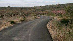 El Consell convoca por 1,69 millones de euros ayudas para que los ayuntamientos aborden obras de acondicionamiento de caminos rurales