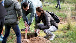 Torrent celebra el Día del Árbol con una jornada de reforestación