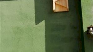 Murciélagos para controlar la población de mosquitos en Cullera - (foto 2)