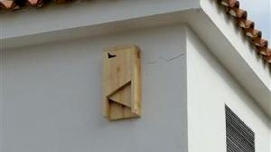 Murciélagos para controlar la población de mosquitos en Cullera - (foto 3)