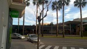 L'Ajuntament de Borriana presenta al·legacions al Decret de salons de joc de la Generalitat - (foto 3)