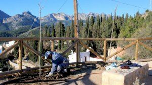 Serveis Tècnics plantarà 30 exemplars de moreres en diferents punts del municipi - (foto 2) Serveis Tècnics plantarà 30 exemplars de moreres en diferents punts del municipi - (foto 2)