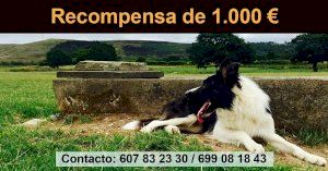 La solidària resposta de centenars de persones per a trobar a Aruck - (foto 2) La solidària resposta de centenars de persones per a trobar a Aruck - (foto 2)