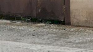 PP: ‘Veïns i comerços del carrer Europa exigeixen al PSPV solucions a la proliferació de rates’ - (foto 4) PP: ‘Veïns i comerços del carrer Europa exigeixen al PSPV solucions a la proliferació de rates’ - (foto 4)