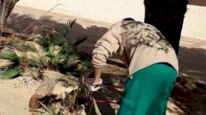 L'Ajuntament de Paterna gestiona mig centenar d'incidències per forts vents - (foto 2) L'Ajuntament de Paterna gestiona mig centenar d'incidències per forts vents - (foto 2)