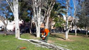 L'Ajuntament de Paterna gestiona mig centenar d'incidències per forts vents L'Ajuntament de Paterna gestiona mig centenar d'incidències per forts vents