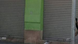 Fuster: ‘El PSPV segueix sense resoldre la proliferació de coloms silvestres’ - (foto 2)