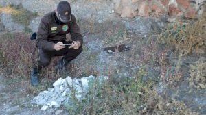 Abandonen un abocament il·legal al Paisatge Protegit de la Desembocadura del riu Millars amb informació personal - (foto 2)