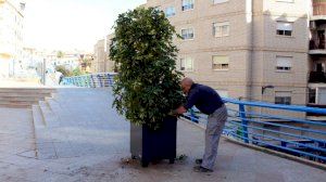 Jardineres i bancs nous en la plaça del Concent - (foto 4)