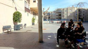 Jardineres i bancs nous en la plaça del Concent - (foto 5)