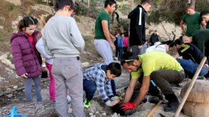 Els escolars dels col·legis públics de Callosa d'en Sarrià celebren el Dia de l'Arbre - (foto 2)