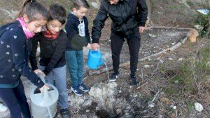 Els escolars dels col·legis públics de Callosa d'en Sarrià celebren el Dia de l'Arbre - (foto 3)