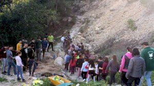 Els escolars dels col·legis públics de Callosa d'en Sarrià celebren el Dia de l'Arbre - (foto 4)