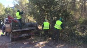 Vilamarxant estrena una nueva brigada de medio ambiente - (foto 3)