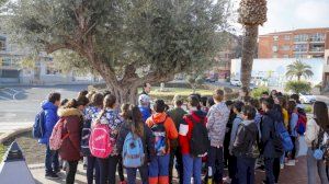 Estudiantes del CEIP Santísimo Cristo visitan los árboles singulares del casco urbano