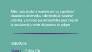 Castelló convoca un taller per a abordar la por de les mascotes als petards - (foto 2)