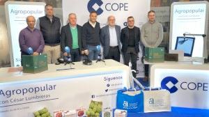 La Diputación de Alicante edita una guía orientativa de cultivos para emprendedores agrícolas de la provincia