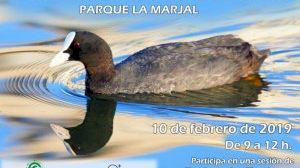El Ayuntamiento conmemora el Día Mundial de los Humedales con un programa de actividades didácticas en el parque La Marjal