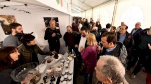 Moliner inaugura la Mostra de la Trufa Negra de l´Alt Maestrat en Catí 