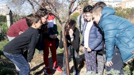 Los huertos urbanos como aula de aprendizaje