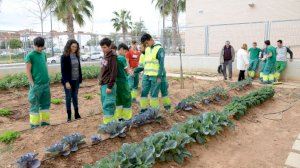 Un convenio entre Ayuntamiento, ESPAI e IES Andreu Alfaro favorece la formación de 11 jóvenes - (foto 2)