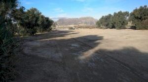 El Ayuntamiento retira 18 toneladas de escombros en el barrio de la Mina en las inmediaciones del Cementerio - (foto 3)