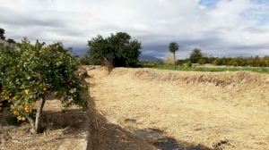 Acaben els treballs de neteja del barranc dels Arcs