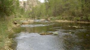 El Consell abre el plazo para realizar aportaciones al procedimiento de declaración de la Reserva de la Biosfera del Valle del Cabriel y la del Alto Turia