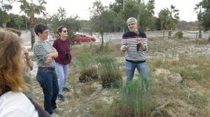 Sant Joan continúa con la reforestación de la zona de La Coix I