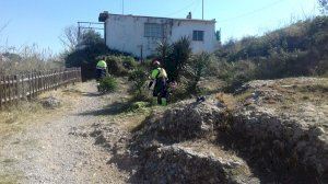 El Consorcio río Mijares retira flora exótica del Paisaje Protegido de la Desembocadura - (foto 4) El Consorcio río Mijares retira flora exótica del Paisaje Protegido de la Desembocadura - (foto 4)