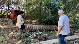 Ciudadanos Burjassot pide la paralización de las talas en L’Hort d’Almenar