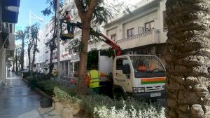 L'Empresa Pública de Desenvolupament Municipal d'Altea ja té nou conveni col·lectiu - (foto 2)