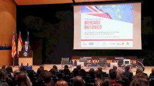 Los expertos analizan en Benidorm los efectos del Brexit en el sector turístico Los expertos analizan en Benidorm los efectos del Brexit en el sector turístico