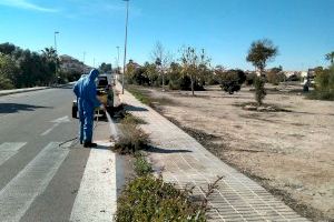 Servicio de retirada de restos vegetales y de fumigación de los viales en Orihuela Costa