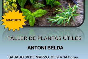 Taller de Plantas Útiles en el CEM Captivador