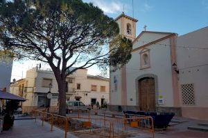 L’Alfàs plantará en abril un nuevo pino en la plaza Mayor