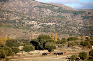 Marzá anuncia que intensificará los esfuerzos para luchar contra la dinámica que vacía zonas rurales del interior de Castelló - (foto 2) Marzá anuncia que intensificará los esfuerzos para luchar contra la dinámica que vacía zonas rurales del interior de Castelló - (foto 2)