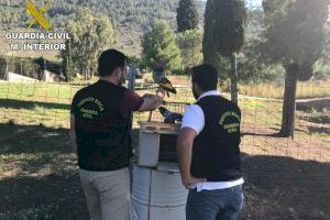 La Guardia Civil procede contra tres personas por delitos de robo con fuerza en las cosas y maltrato animal