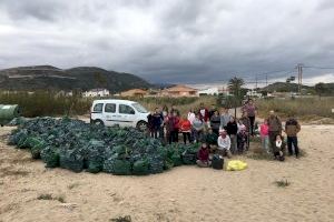 Cullera retira dos toneladas de plantas invasoras en la playa del Dosel