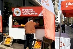 Arranca la campanya “taronja” de Ciutadans per a defensar als agricultors - (foto 2)