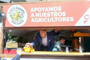 Arranca la campanya “taronja” de Ciutadans per a defensar als agricultors - (foto 4)