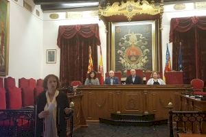 El Pleno Municipal de Personas Mayores de Elche, comprometido con la Agenda 2030 de las Naciones Unidas