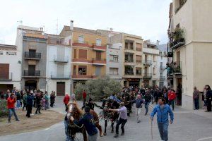 La festa de Sant Antoni de les Coves de Vinromà obté la declaració de Festa d'Interés Turístic de la  Generalitat Valenciana